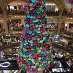 【フランス留学】学生ビザ取得！これからのこと。