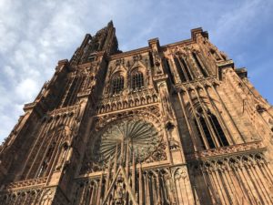 31歳からの大学生活。フランス語、イタリア語との共存。